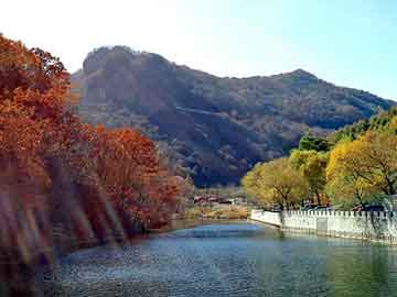 正版澳门天天开彩大全，无上邪祖